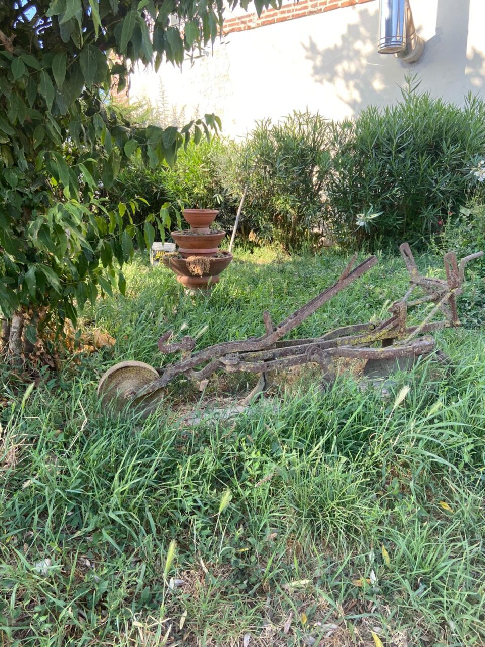 Podere Novedo: aratro in ferro 